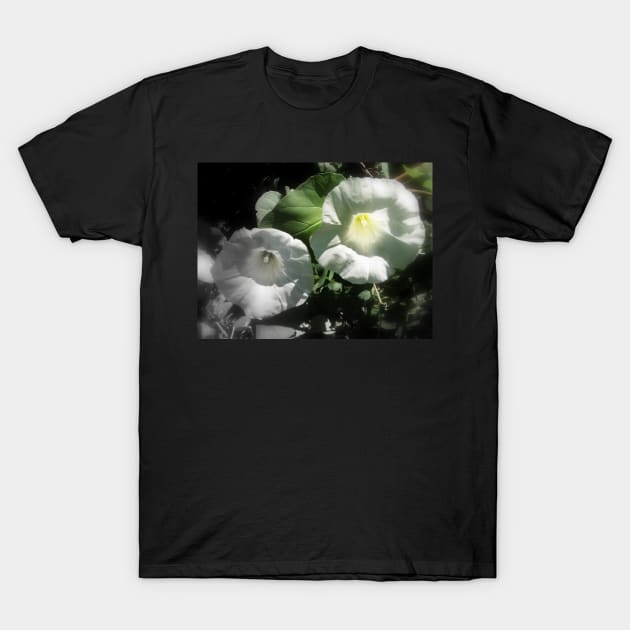 morning glory 2 T-Shirt by DlmtleArt